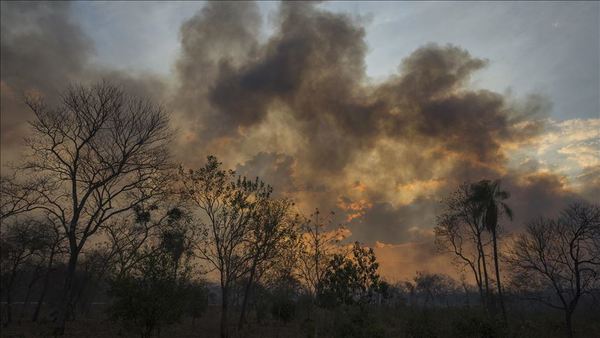 Focos de calor, una preocupación latente en Bolivia a pesar de su disminución » Ñanduti