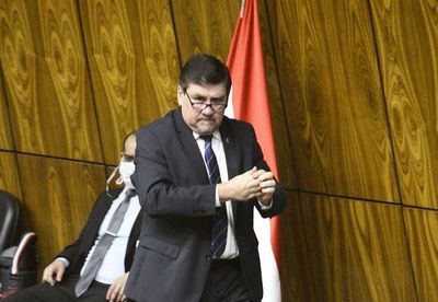 Llano califica de miserables las irregularidades y afirma que podrían generar inestabilidad en el Gobierno - Nacionales - ABC Color