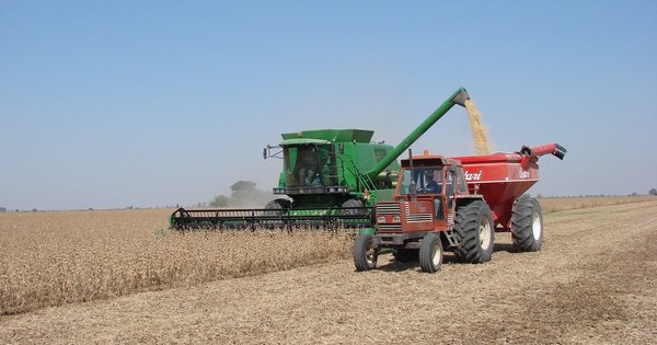 Apostarán por el fortalecimiento de la banca agroganadera en la pospandemia