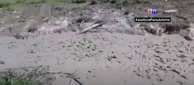Mortandad de peces en riachos del Chaco por prolongada sequía | Noticias Paraguay