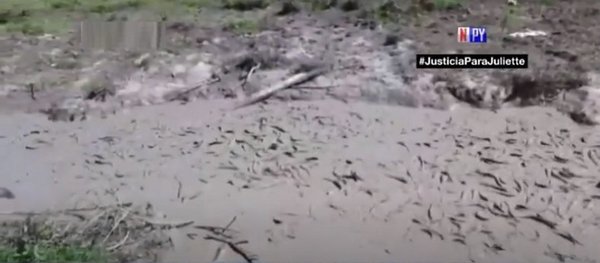 Mortandad de peces en riachos del Chaco por prolongada sequía | Noticias Paraguay