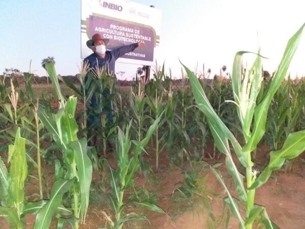 Agricultura sustentable da esperanza a productores de San Pedro