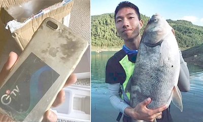 Se le cayó celular al río hace 8 meses ha oikóiti | Crónica