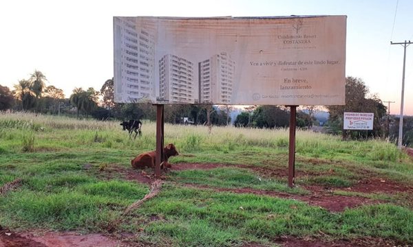 Surtidor cerca de la Costanera aprobado ilegalmente por la Junta, es de “Kelembú”