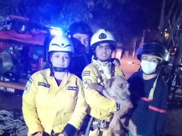 Perro es rescatado de un pozo por bomberos de Ypacaraí e Itauguá