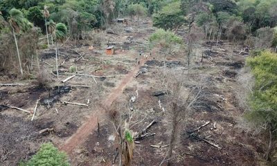 Itaipú pide a Interior que colabore para frenar daños a bosques de sus reservas – Diario TNPRESS