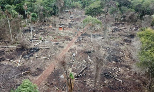 Itaipú pide a Interior que colabore para frenar daños a bosques de sus reservas – Diario TNPRESS