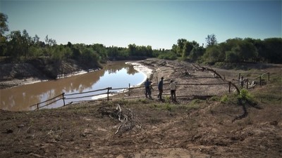 Productores de Margariño hacen cruzar el ganado por el rio en busca de tierras con pasto