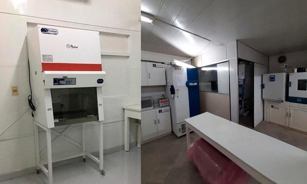 Pruebas de Covid-19 ya son procesadas en Coronel Oviedo – Prensa 5