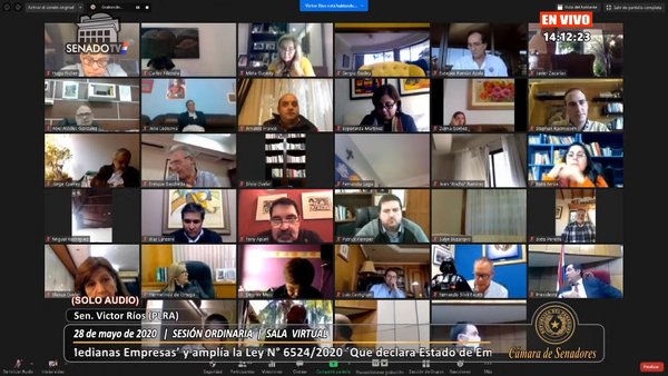 Sapy’aitepe sarambi ojapo hikuái: Llano quedó fuera de la sesión online y así reaccionaron los senadores - Megacadena — Últimas Noticias de Paraguay