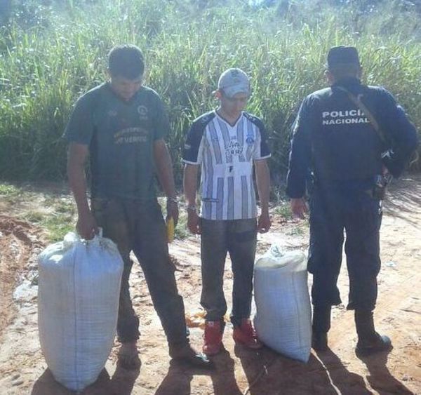 Jóvenes condenados por tenencia de marihuana