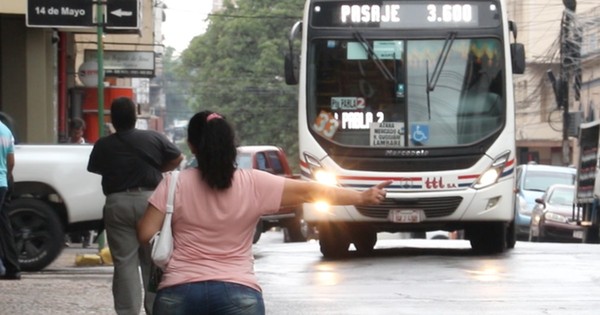 Critican “ínfima” baja del precio del pasaje en transporte público
