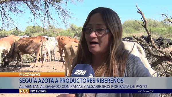 SEQUÍA AZOTA A PRODUCTORES RIBEREÑOS DEL CHACO PARAGUAYO