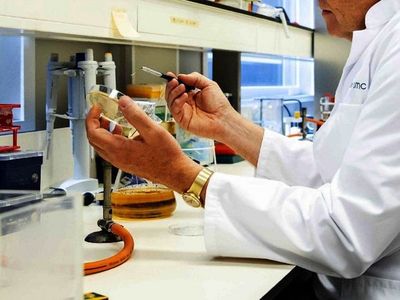 Vacuna  antituberculosa podría proteger contra Covid-19