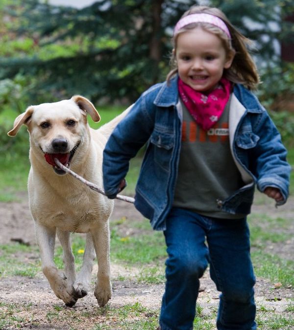 Las mascotas de la familia estimulan el desarrollo infantil - Mascotas - ABC Color