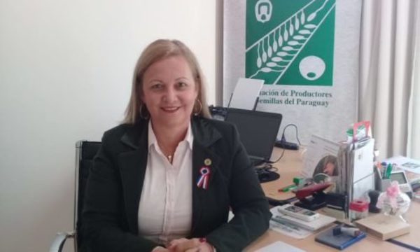 » Semillas de soja, de cara a la nueva campaña