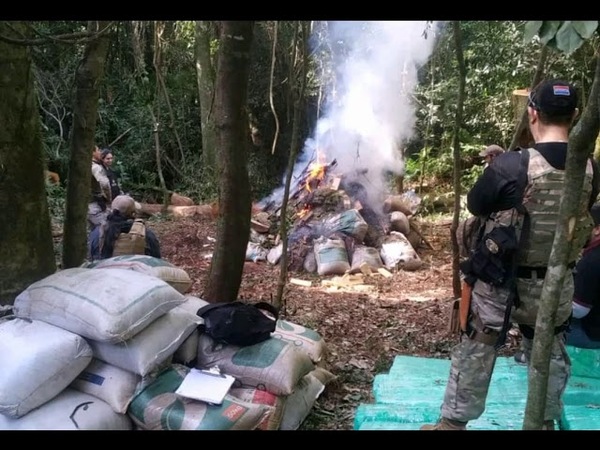 SENAD INCAUTA MÁS DE 3000 KILOS DE MARIHUANA Y DESTRUYE CAMPAMENTO EN MARIA AUXILIADORA