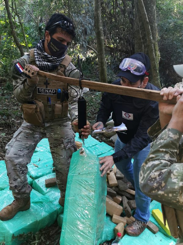 Itapúa: Destruyen más de 3000 kilos de marihuana » Ñanduti