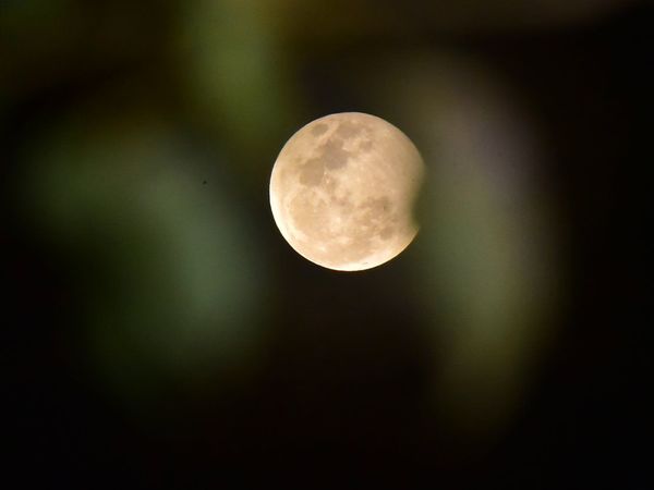 La luna de fresa podrá ser vista la próxima semana