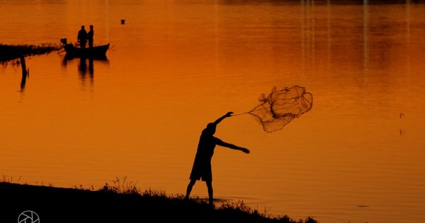 La fase dos en imágenes - OJO Galería