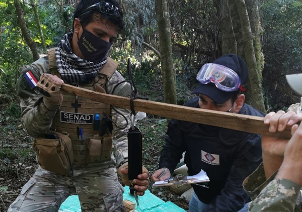 Fiscalía encabezó operativo de destrucción de más de 3000 kilos de marihuana