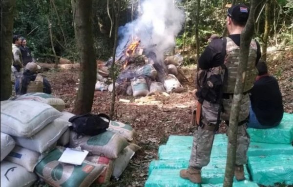 María Auxiliadora : Senad incauta 3 toneladas de marihuana y destruye campamento narco | Noticias Paraguay