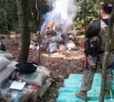 Agentes de la Senad destruyen importante campamento narco  - Paraguay.com