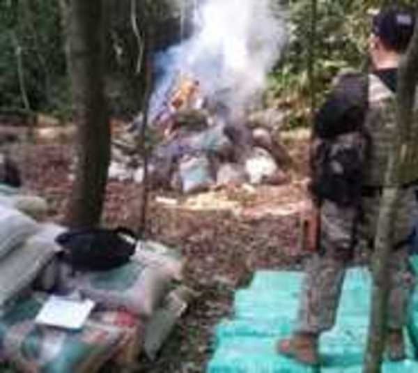Agentes de la Senad destruyen importante campamento narco - Paraguay.com