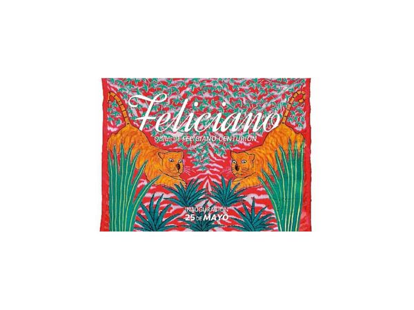 Obras de Feliciano Centurión en la Fundación Texo