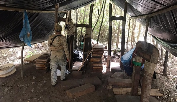 SENAD elimina más de 23 toneladas de marihuana