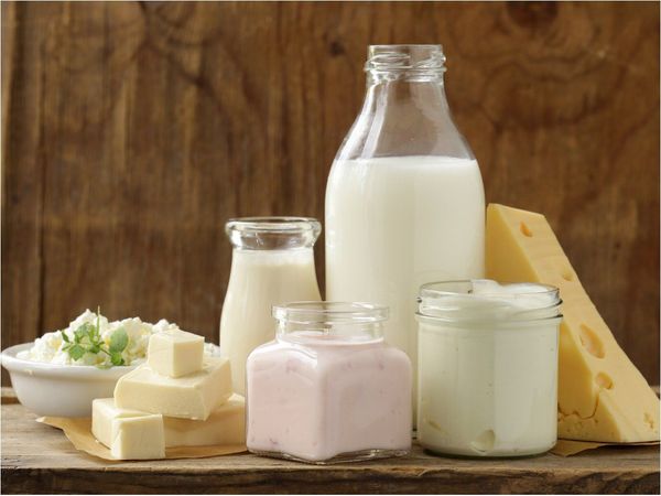 Día de la Leche: Sabores desde la pradera