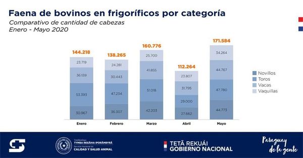 Repuntó faena de bovinos, pero exportación está estable - Nacionales - ABC Color