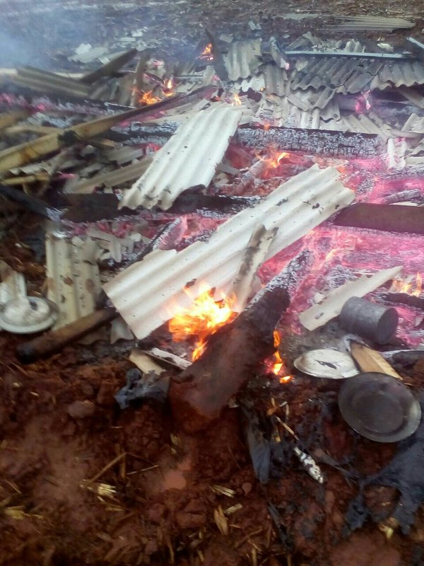 Varios heridos en enfrentamiento en Pindoí - Campo 9 Noticias