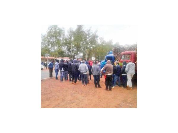 Cañicultores exigen mejor precio por la caña en Guairá