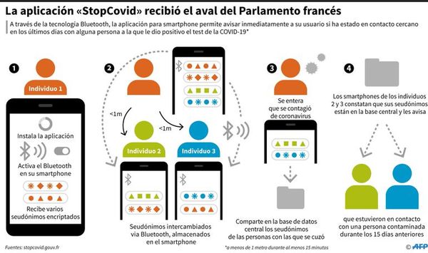 Cómo son las app contra el covid-19 - Internacionales - ABC Color