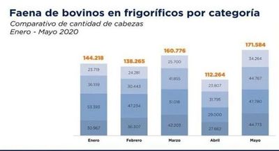 Repuntó faena de bovinos, pero exportación está estable