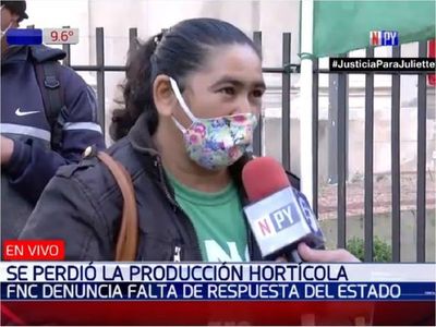 Exigen respuestas ante alta pérdida de producción de tomate y locote