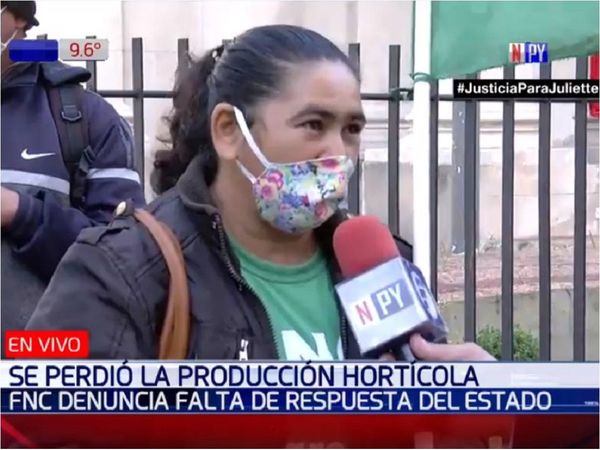 Exigen respuestas ante alta pérdida de producción de tomate y locote