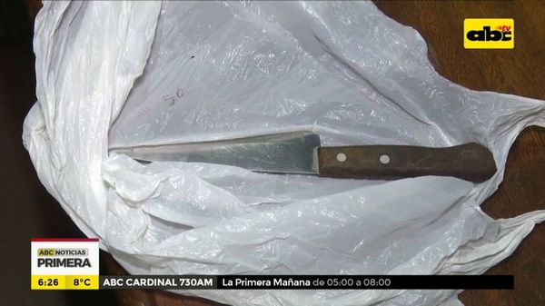 Con cuchillo en mano, quiso robar una casa - ABC Noticias - ABC Color