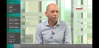 Paraguay con enorme potencial para la producción maderera de reforestación