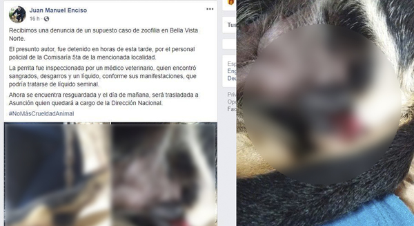 DENUNCIAN ZOOFILIA EN BELLA VISTA NORTE Y APREHENDEN A SUPUESTO AUTOR.