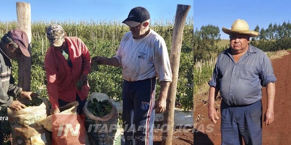PRODUCTOR HORTÍCOLA DONÓ VERDURAS A SUS COMPUEBLANOS.