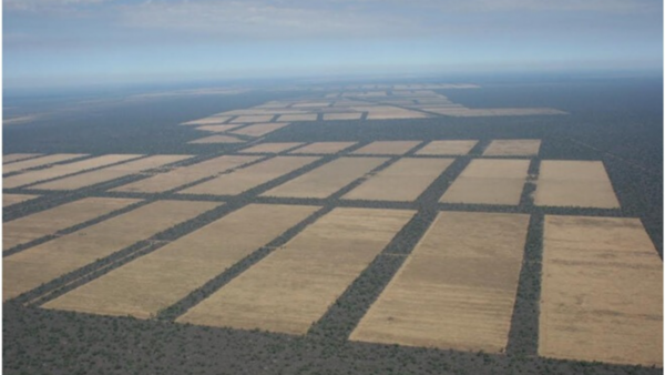 Desoladora vista aérea del Chaco marcada por la deforestación