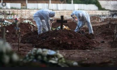 Brasil: Un total de 31.199 muertos por coronavirus, tras sumar un nuevo récord de 1.262 fallecidos registrados en 24 horas