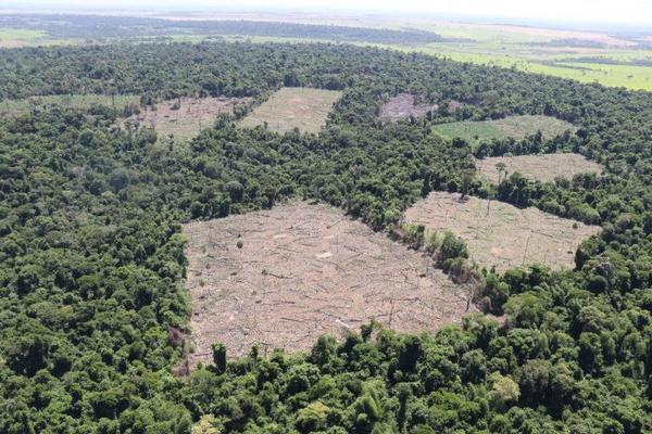 Acciones contra delitos ecológicos son debatidas con el MADES – Diario TNPRESS