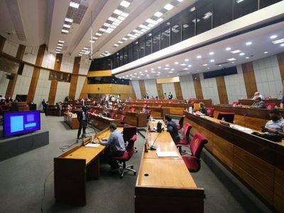 Comisión de Diputados excluye a binacionales de topeo salarial