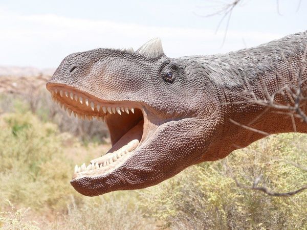 El último banquete de un dinosaurio de 1.300 kilos, al descubierto