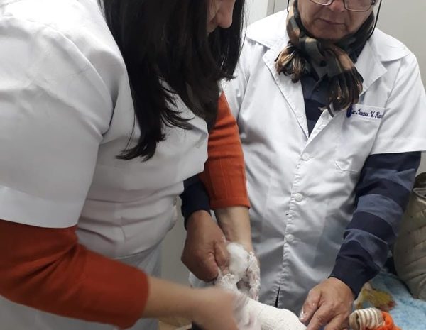 En Alto Paraná, 27 niños alinean sus piecitos mediante tratamiento del PIE BOT y la Fundación Solidaridad