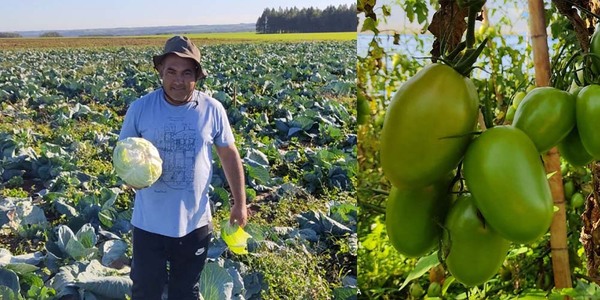 “CON SACRIFICIO Y DEDICACIÓN TODO ES POSIBLE”, DICE HORTICULTOR