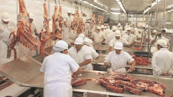 Exportaciones de carne repuntaron 63% en mayo